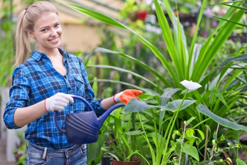 Gardening team preparing equipment in a residential garden
