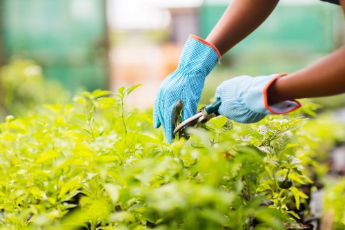 Photo of an inspector reviewing garden maintenance work