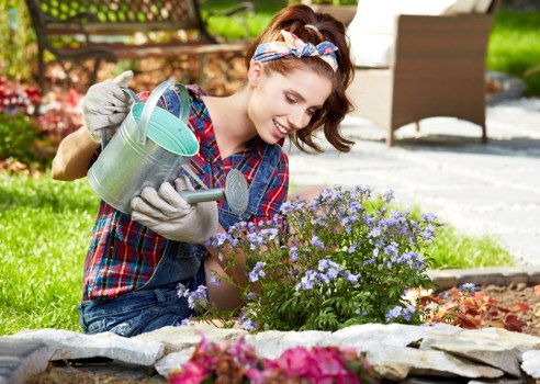 Expert pruning and trimming services