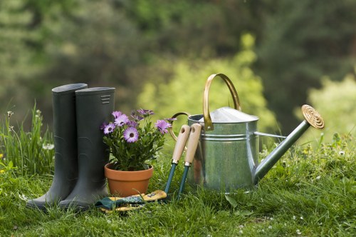 Photograph showing a client pointing out a garden issue to a gardener