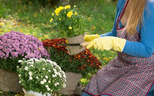 Maximizing garden space with professional clearance