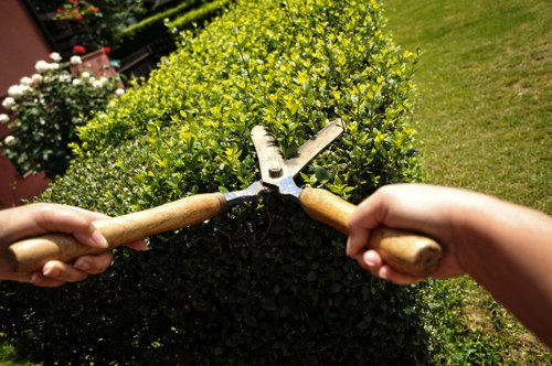 Eco-friendly lawn mowing equipment
