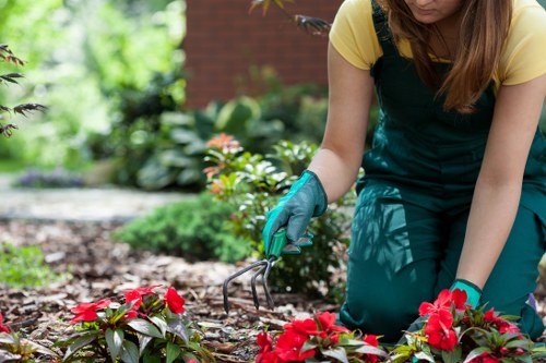 Volunteers sorting soil and plant donations for charity