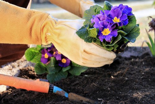 Gardeners wearing PPE and working safely in a Barking garden
