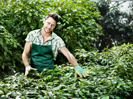 Professional landscaper designing a garden in Barking