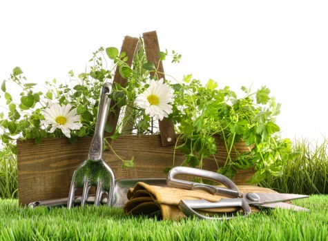 Eco-friendly garden clearance practices