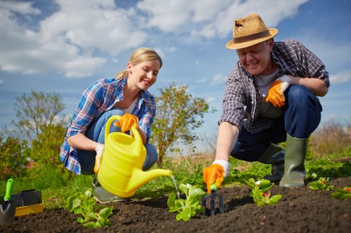Seasonal lawn preparation for events