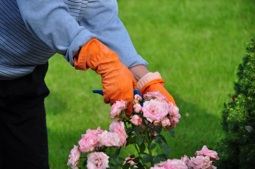 Garden clearance crew removing overgrown shrubs in a terraced street