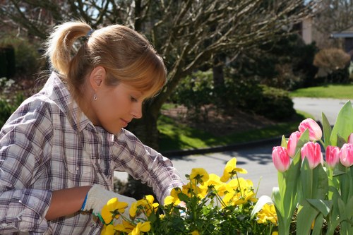 Pristine hedges enhancing property value
