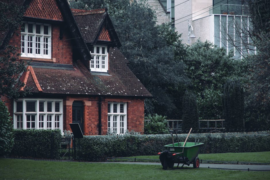 A man wearing glasses, a dark hoodie, and jeans is performing garden maintenance in a residential backyard. He is using an orange electric grass trimmer to cut the grass in a neatly kept lawn area, wi