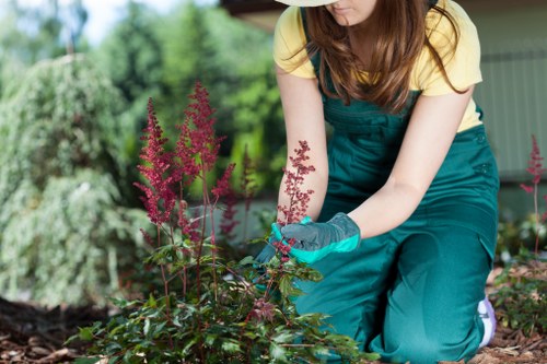 Community gardening event in Barking